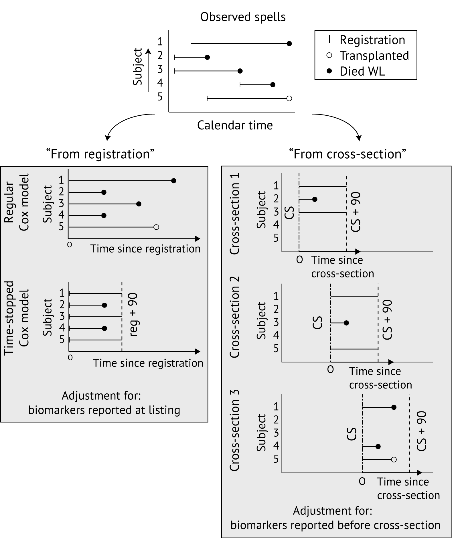 Illustration of from “registration” and “from cross-section” approaches to modeling waiting list mortality. For revision of MELD, typically 90-day time-stopped Cox models are used. The “from registration” approach (left) uses time since registration as the timescale and adjusts for biomarkers reported at registration. The “from cross-section” approach (right) models time-until-death from cross-section dates, pre-specified in calendar time, and adjusts for MELD biomarkers reported before the cross-section date. WL, waiting list.